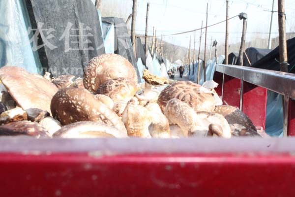 b201142165958.jpg b201142165958.jpg