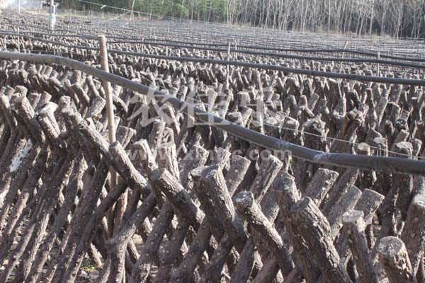 b201142171712.jpg b201142171712.jpg